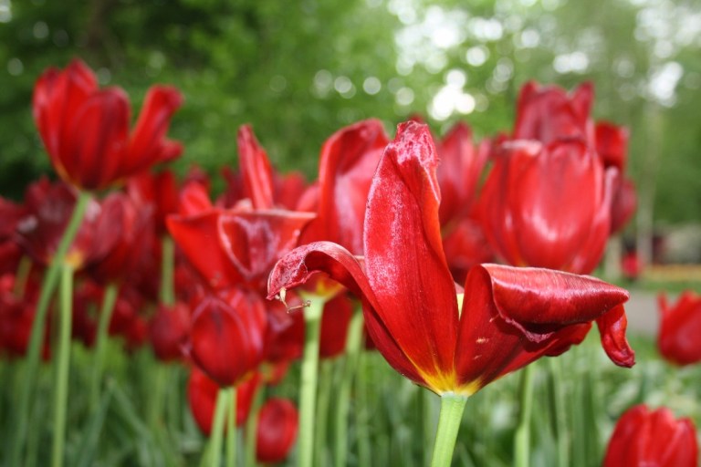 647A5F10-C013-4F14-919F-9D228C79B5E4