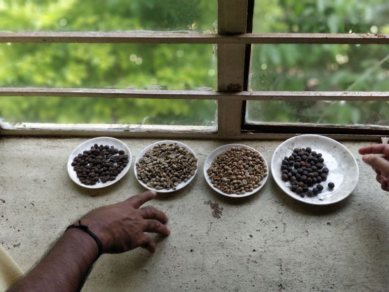 Coorg 2018-04-30 at 8.21.41 AM