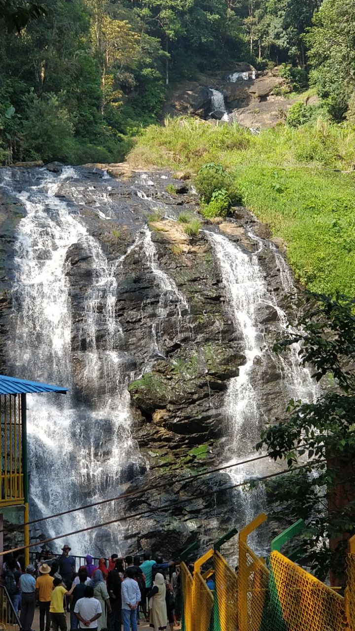 WhatsApp Image 2018-04-30 at 3.51.44 AM(1)